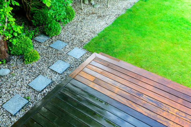 Best Roof Washing  in Mayville, ND